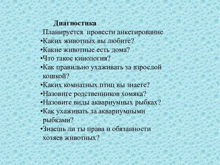 Диагностика Планируется провести анкетирование Каких животных вы любите? Какие животные есть