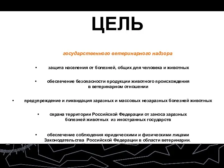 ЦЕЛЬ государственного ветеринарного надзора защита населения от болезней, общих для человека