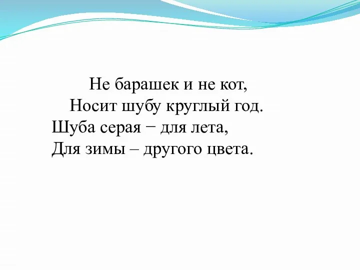 Не барашек и не кот, Носит шубу круглый год. Шуба серая