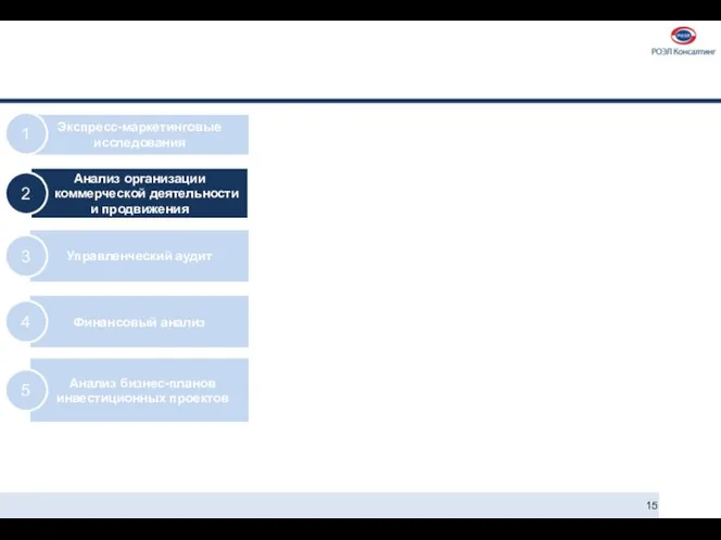 Экспресс-маркетинговые исследования 1 Управленческий аудит 3