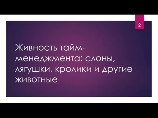 Живность тайм-менеджмента: слоны, лягушки, кролики и другие животные