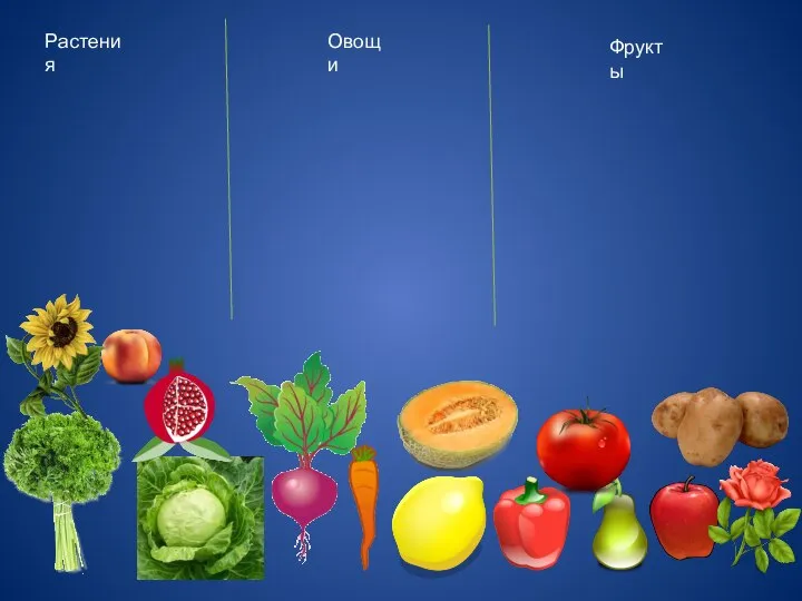 Растения Овощи Фрукты