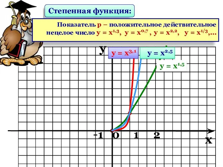 Степенная функция: Показатель р – положительное действительное нецелое число у =