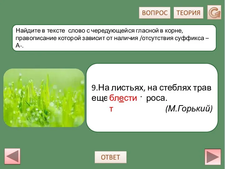 9.На листьях, на стеблях трав еще блестит роса. (М.Горький) Найдите в