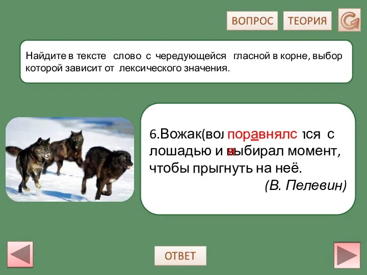 6.Вожак(волк) поравнялся с лошадью и выбирал момент, чтобы прыгнуть на неё.