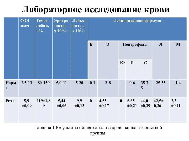 Лабораторное исследование крови Таблица 1 Результаты общего анализа крови кошки из опытной группы