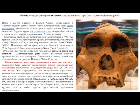Новые находки Австралопитеков: Австралопитек гари (лат. Australopithecus garhi) После открытия жившего