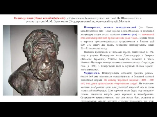 Неандерталец (Homo neanderthalensis): «Классический» неандерталец из грота Ля Шапель-о-Сен в реконструкции