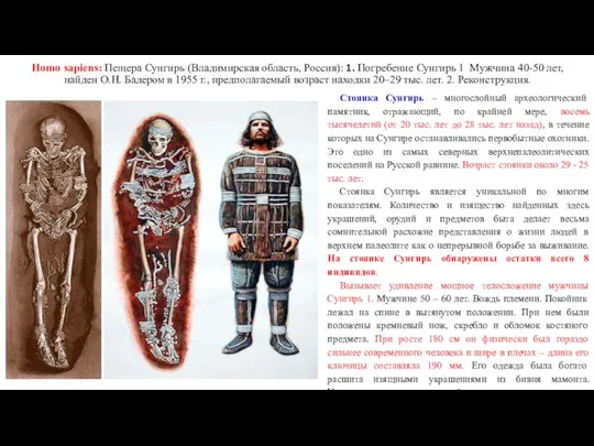 Homo sapiens: Пещера Сунгирь (Владимирская область, Россия): 1. Погребение Сунгирь 1