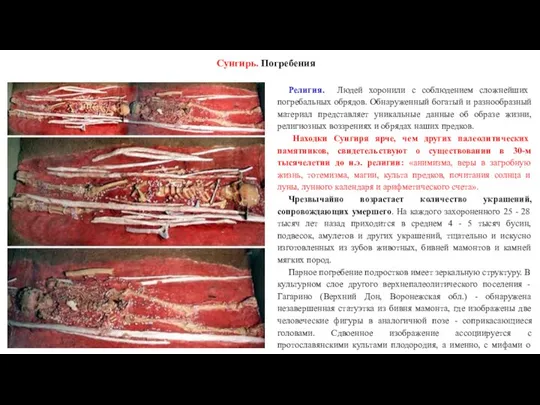 Сунгирь. Погребения Религия. Людей хоронили с соблюдением сложнейших погребальных обрядов. Обнаруженный