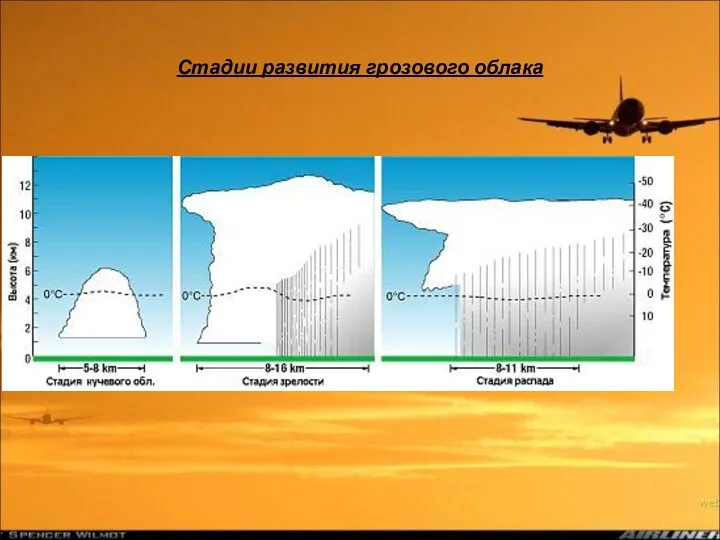 Стадии развития грозового облака