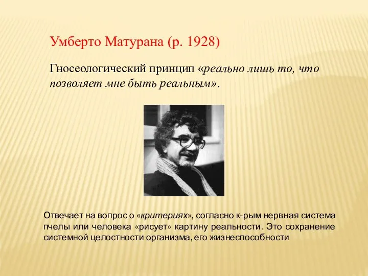 Умберто Матурана (р. 1928) Гносеологический принцип «реально лишь то, что позволяет