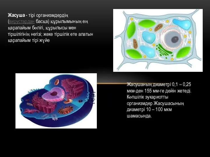 Жасуша - тірі организмдердің (вирустардан басқа) құрылымының ең қарапайым бөлігі, құрылысы