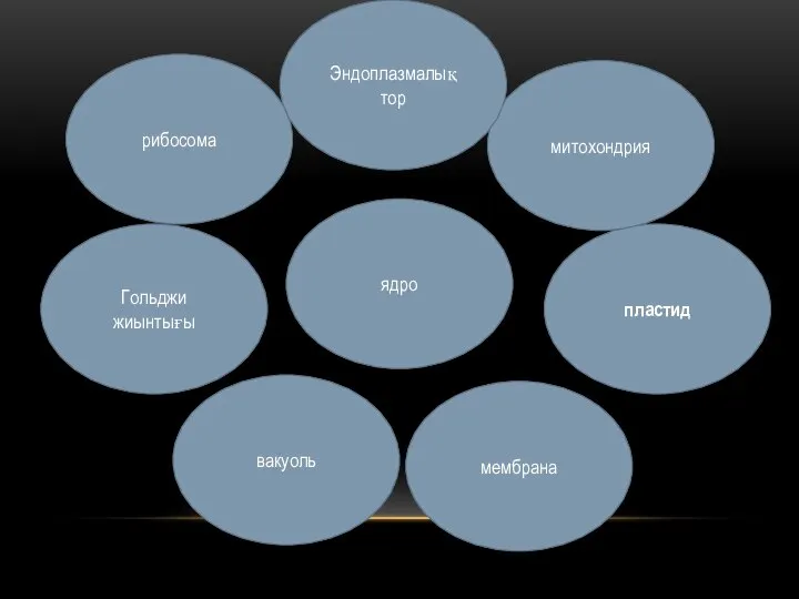 ядро пластид вакуоль Гольджи жиынтығы митохондрия рибосома Эндоплазмалық тор мембрана