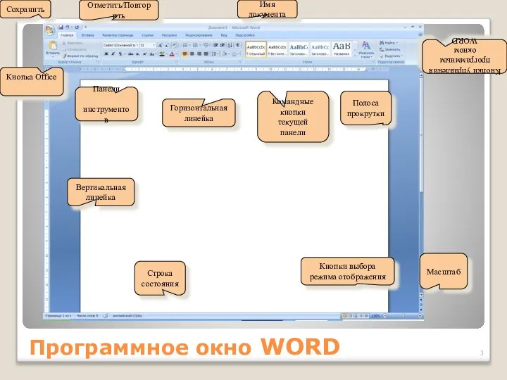 Программное окно WORD Кнопки управления программным окном WORD Вертикальная линейка Полоса