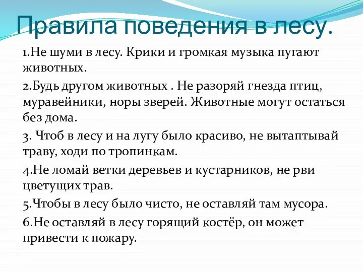 Правила поведения в лесу. 1.Не шуми в лесу. Крики и громкая