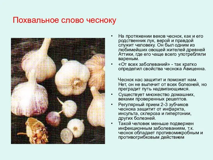 Похвальное слово чесноку На протяжении веков чеснок, как и его родственник