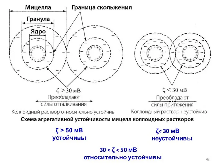 ζ 30 ζ > 50 мВ устойчивы