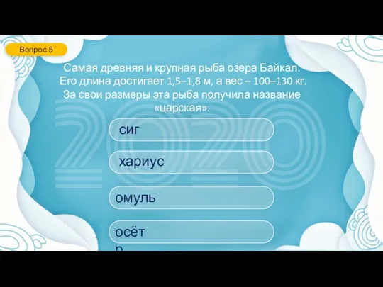 Самая древняя и крупная рыба озера Байкал. Его длина достигает 1,5–1,8