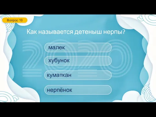 Как называется детеныш нерпы? Вопрос 10