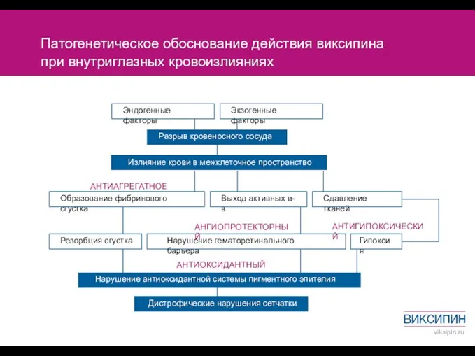 Патогенетическое обоснование действия виксипина при внутриглазных кровоизлияниях Эндогенные факторы Образование фибринового