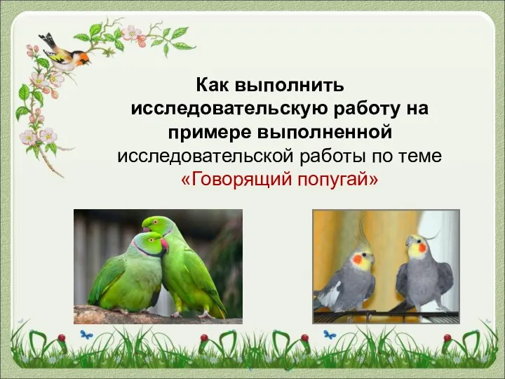 Как выполнить исследовательскую работу на примере выполненной исследовательской работы по теме «Говорящий попугай»