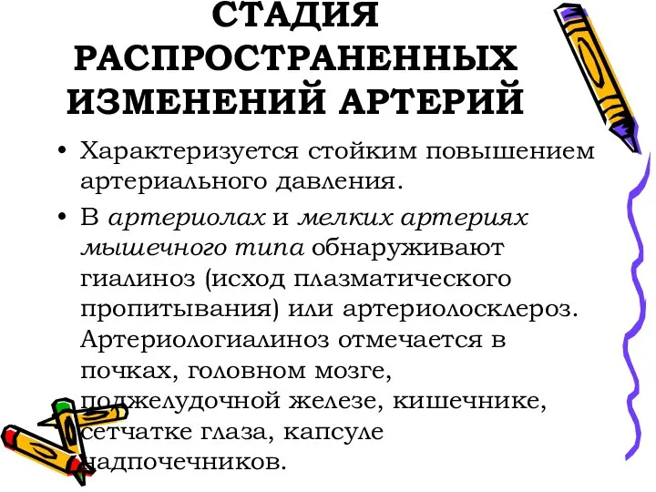 СТАДИЯ РАСПРОСТРАНЕННЫХ ИЗМЕНЕНИЙ АРТЕРИЙ Характеризуется стойким повышением артериального давления. В артериолах