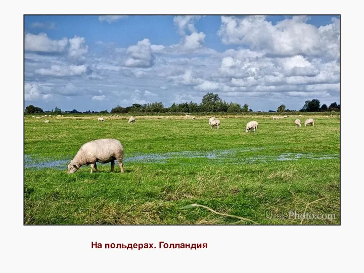 На польдерах. Голландия