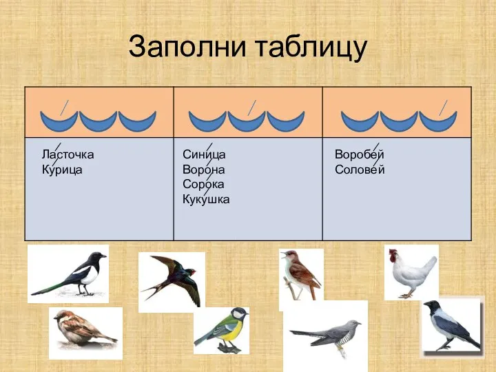 Заполни таблицу ⁄ Ласточка ⁄ Курица ⁄ Синица ⁄ Ворона ⁄