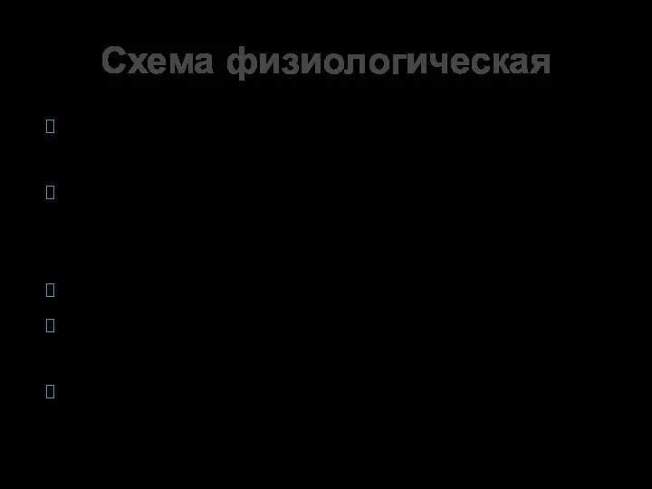 Стартуем сразу с поцелуев в губы, шею. Активно начинаем тисканье попы,