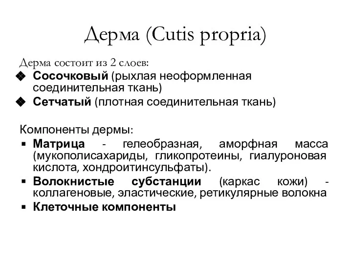 Дерма (Cutis propria) Дерма состоит из 2 слоев: Сосочковый (рыхлая неоформленная