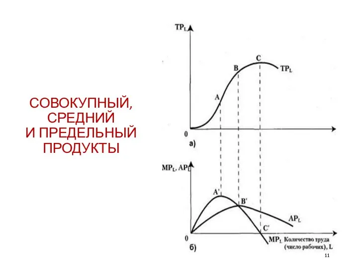 СОВОКУПНЫЙ, СРЕДНИЙ И ПРЕДЕЛЬНЫЙ ПРОДУКТЫ