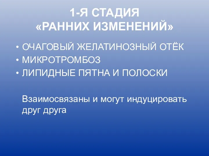 1-Я СТАДИЯ «РАННИХ ИЗМЕНЕНИЙ» ОЧАГОВЫЙ ЖЕЛАТИНОЗНЫЙ ОТЁК МИКРОТРОМБОЗ ЛИПИДНЫЕ ПЯТНА И