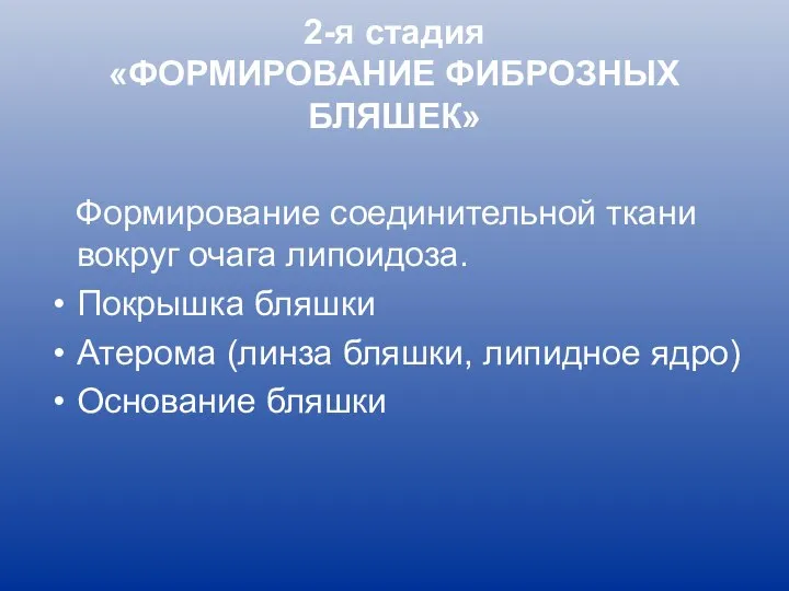 2-я стадия «ФОРМИРОВАНИЕ ФИБРОЗНЫХ БЛЯШЕК» Формирование соединительной ткани вокруг очага липоидоза.