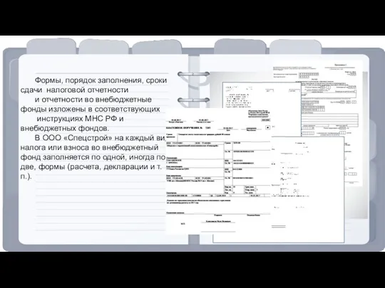 Формы, порядок заполнения, сроки сдачи налоговой отчетности и отчетности во внебюджетные