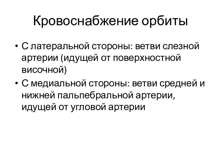 Кровоснабжение орбиты С латеральной стороны: ветви слезной артерии (идущей от поверхностной