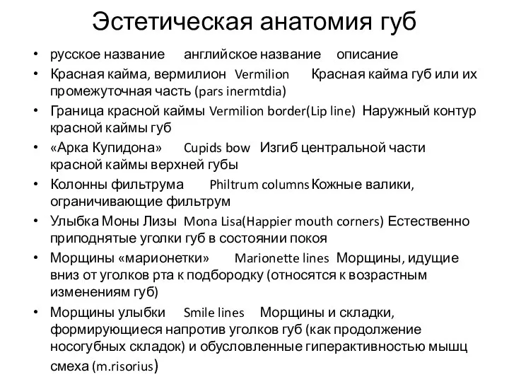 Эстетическая анатомия губ русское название английское название описание Красная кайма, вермилион