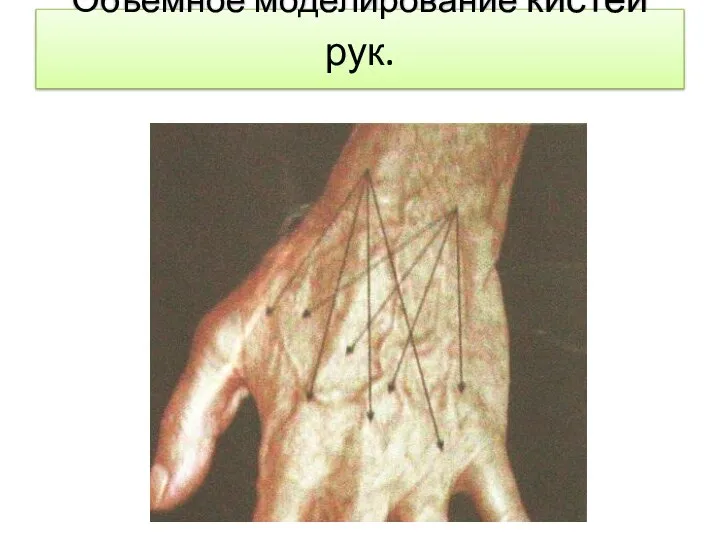 Объемное моделирование кистей рук.