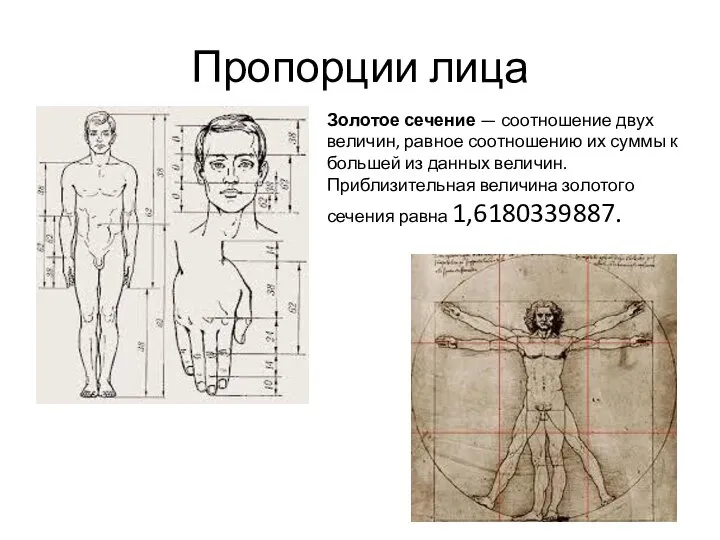 Пропорции лица Золотое сечение — соотношение двух величин, равное соотношению их