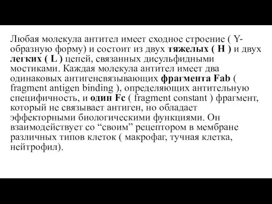 Любая молекула антител имеет сходное строение ( Y- образную форму) и