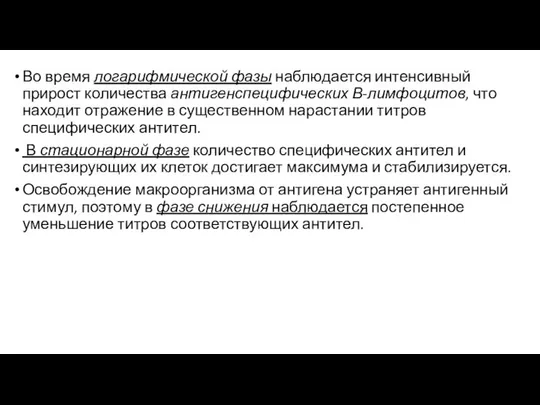 Во время логарифмической фазы наблюдается интенсивный прирост количества антигенспецифических В-лимфоцитов, что