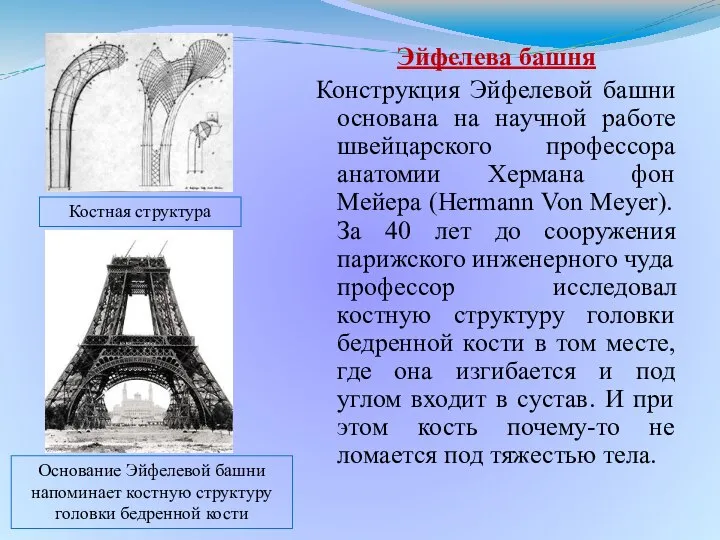 Эйфелева башня Конструкция Эйфелевой башни основана на научной работе швейцарского профессора