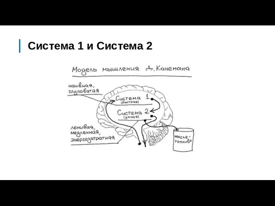 Система 1 и Система 2