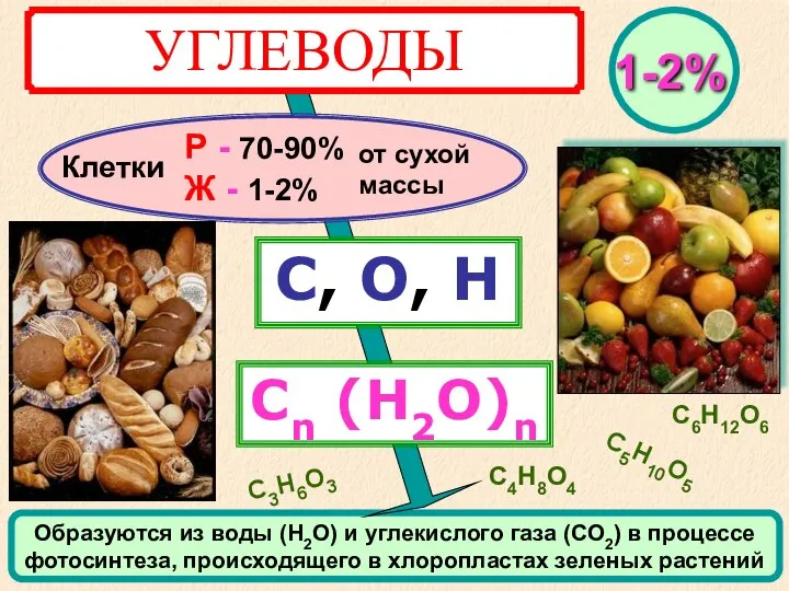 УГЛЕВОДЫ Клетки С, О, Н Сn (Н2О)n Р - 70-90% Ж