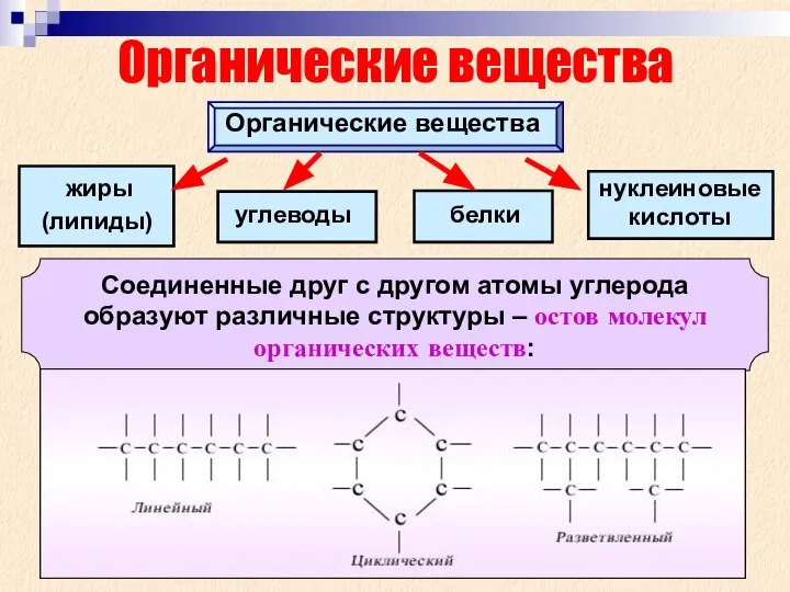 Органические вещества Органические вещества жиры белки углеводы (липиды) нуклеиновые кислоты Соединенные