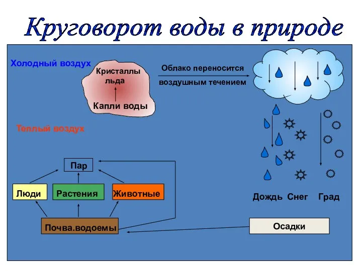 Холодный воздух Теплый воздух Пар Кристаллы льда Капли воды Облако переносится