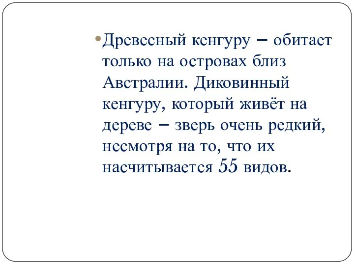 Древесный кенгуру – обитает только на островах близ Австралии. Диковинный кенгуру,