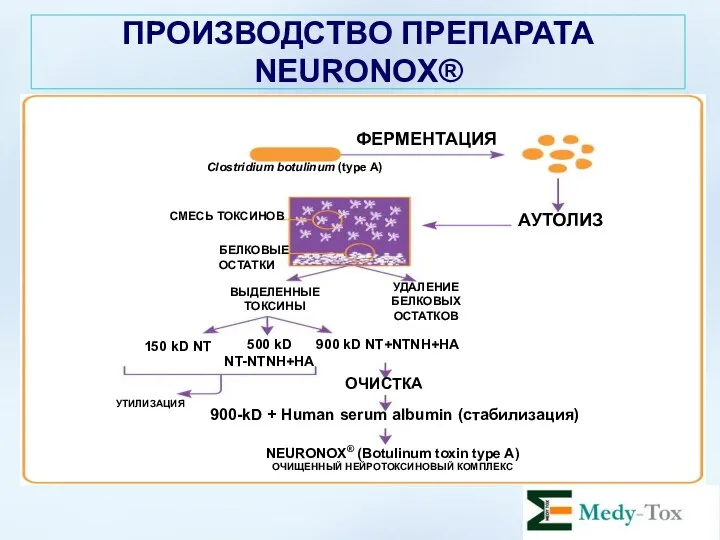 ПРОИЗВОДСТВО ПРЕПАРАТА NEURONOX®