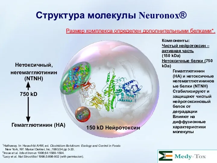 Структура молекулы Neuronox® 1Hathaway. In: Hauschild AHW, ed. Clostridium Botulinum: Ecology