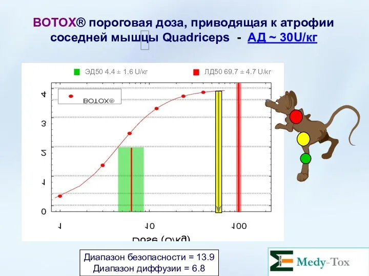 BOTOX® пороговая доза, приводящая к атрофии соседней мышцы Quadriceps - АД